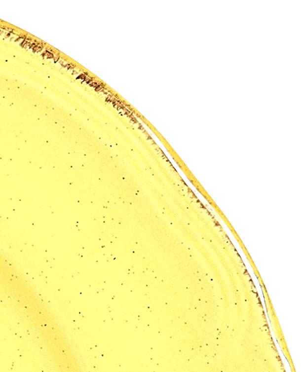 French Countryside Speckled Stoneware Dinnerware Set