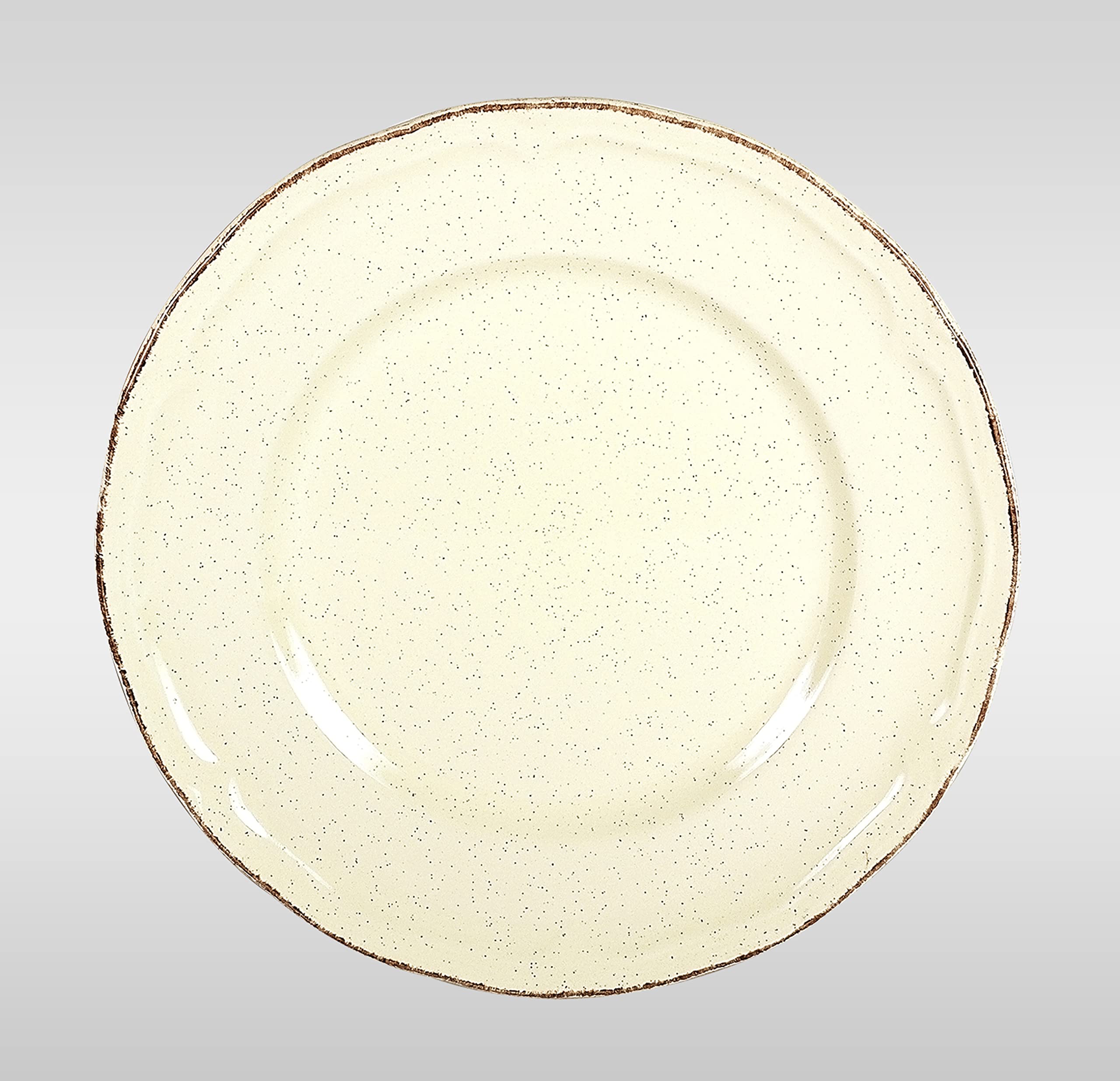 French Countryside Speckled Stoneware Dinnerware Set