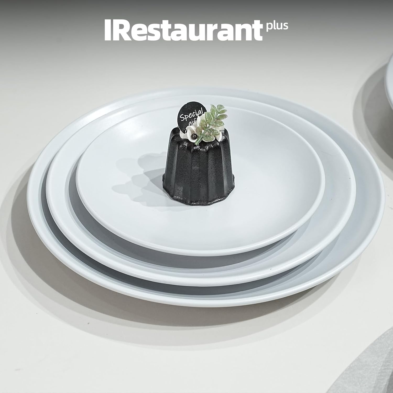Commercial-Grade Stoneware Coupe Plates
