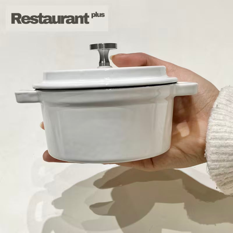 Enameled Cast Iron Pot