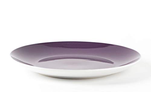 Stoneware Coupe Shape Plate Set